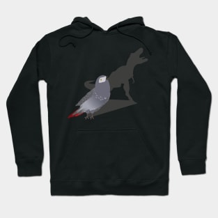 African Grey Parrot T-Rex Dinosaur Shadow and Pet Birds Hoodie